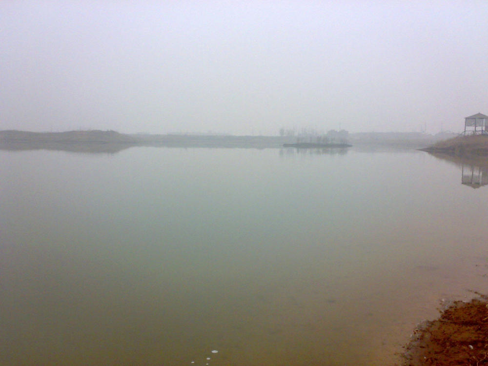 在黄河垂钓俗称"红眼棒"的野生鱼,此鱼劲道真大