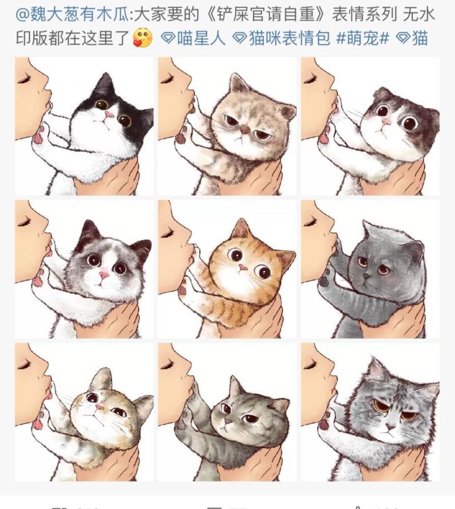 铲屎官请自重!猫咪为何一点也不想要你的亲亲?