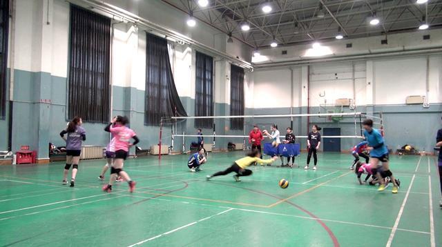 奥运冠军杨昊牵线三弟子试训北汽女排 谁会是