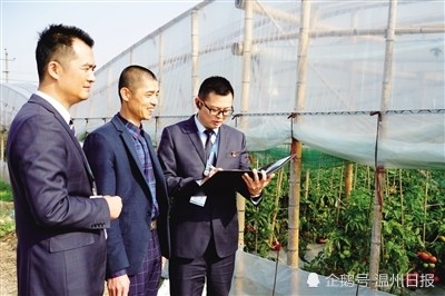 小贷款撑起普惠大事业 温州农商银行系统存贷