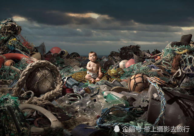 最后一页   英国摄影师karl taylor与海洋生物学家richard lord合作