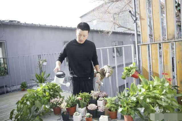 网曝李小璐怀双胞胎,贾乃亮一句话揭开真相,让