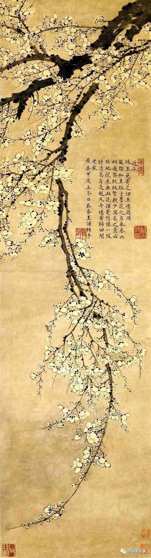 萬玉綴枝,璀璨異常——王謙《卓冠群芳圖》欣賞|卓冠群芳圖|梅花|王冕