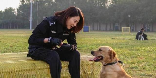 劇中最萌的狗狗警花與警犬排第二第一是它不過分