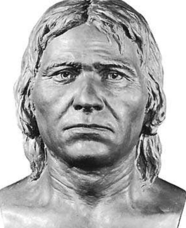 利用从各个时间段出土的脸骨和头盖骨将原始人进行了复原,目前有四种