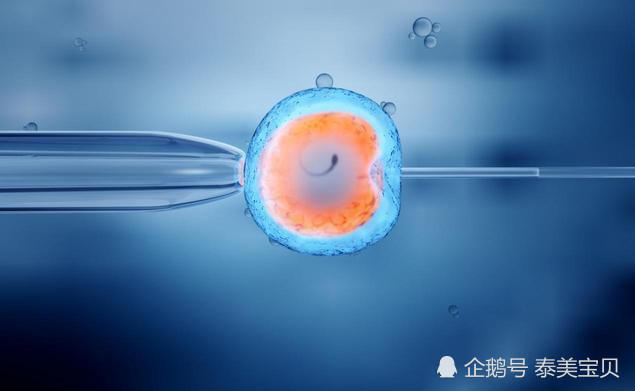 去泰国做试管婴儿最短需要多长时间?