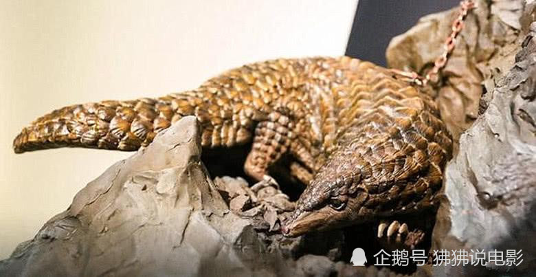 《怒晴湘西》被删减镜头:怒晴鸡大战黑琵琶,僵尸不止尸王一个!