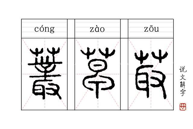 说文解字 第111课 古人说的草并非草木的草 而是一种果实 说文解字 汉字 小篆