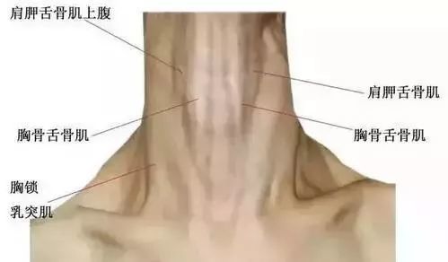 腾讯内容开放平台