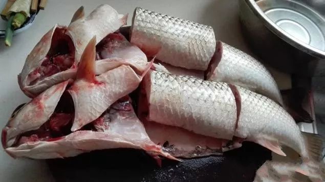 野生开冰梭个体纤细,鱼鳞大,因为一个冬季没有进食,因此没有土腥味.