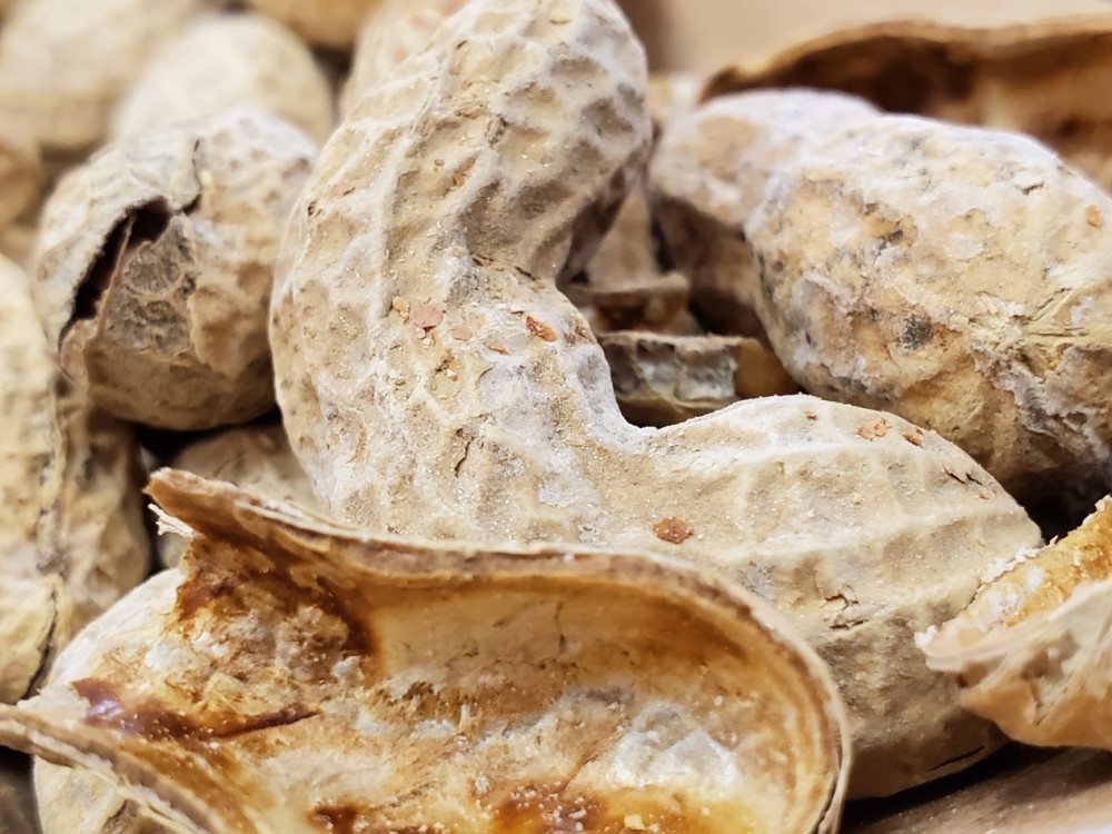 三星S10+评测:诚意满满的升级 拍照续航提升大