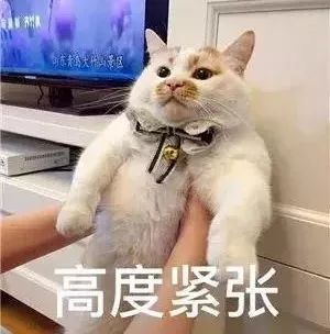 重磅!河北新高考改革方案要来了!从这年开始