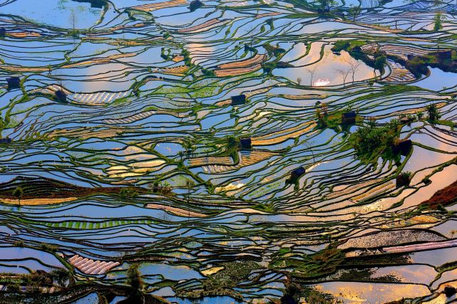 暑假去云南旅游最好，云南旅游城市有哪些推薦【胖金妹七彩游】