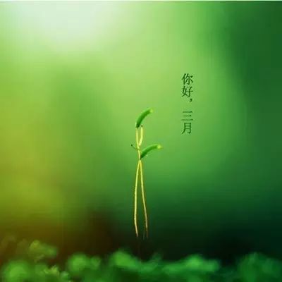 三月你好最美三月简短暖心问候三月唯美图片