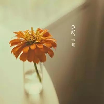 最美|三月你好！最美三月简短暖心问候 三月唯美图片走一波