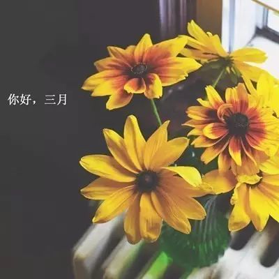 最美|三月你好！最美三月简短暖心问候 三月唯美图片走一波