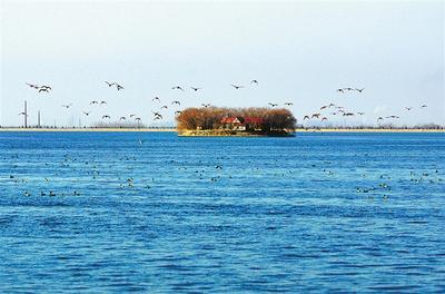 大浪澱水庫