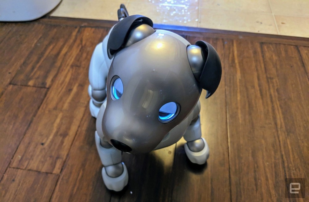 索尼新款机器狗aibo评测:还不如养只真狗