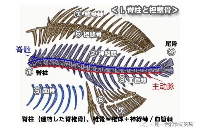 腾讯内容开放平台