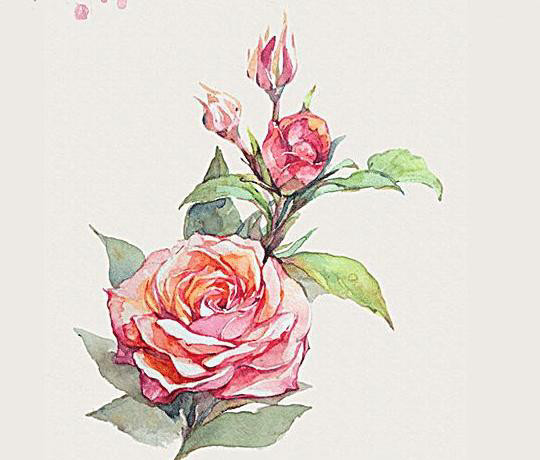 趣味测试 哪朵玫瑰花画的最漂亮 测试你的 爱人 有多爱你 腾讯新闻