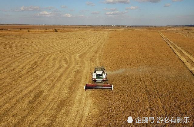 三农自媒体泛滥为什么现在拍农村自媒体视频的