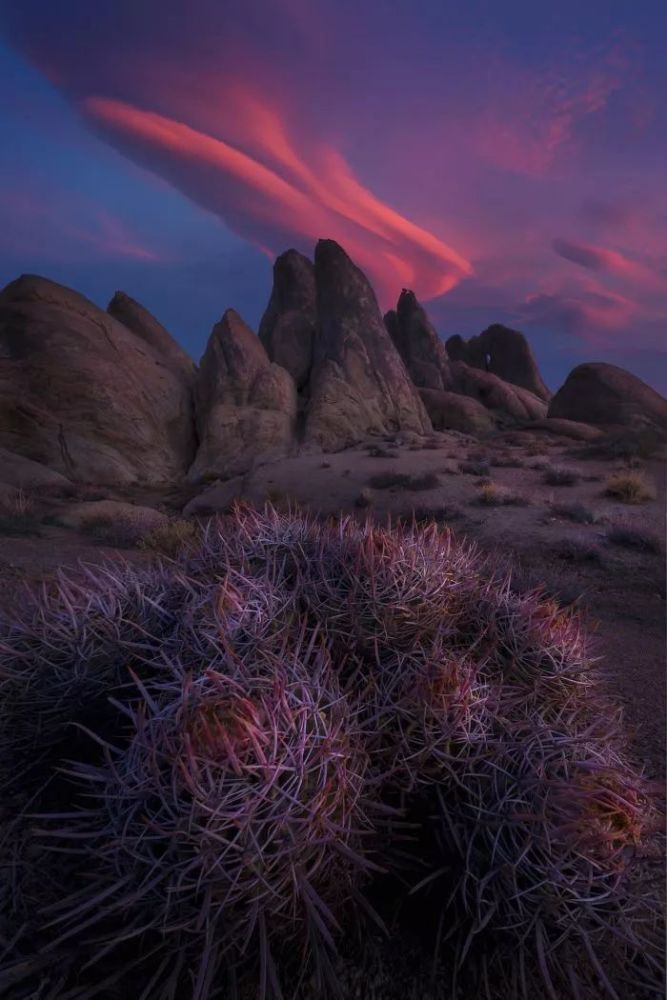 "the archer",miles morgan (美国)