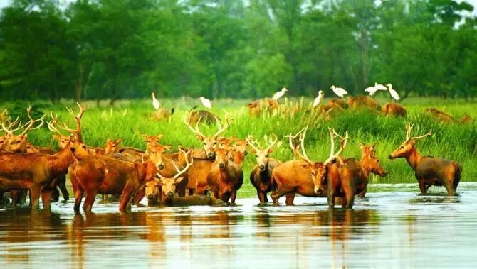 中国城市分级榜单出炉:荆州位列…