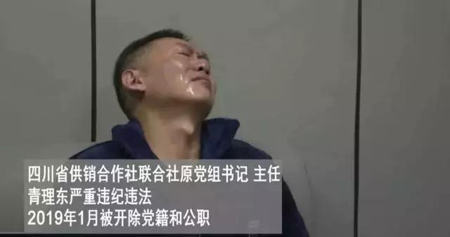 央视曝光:母亲捡废品的县官青理东,巨额财产来源不明