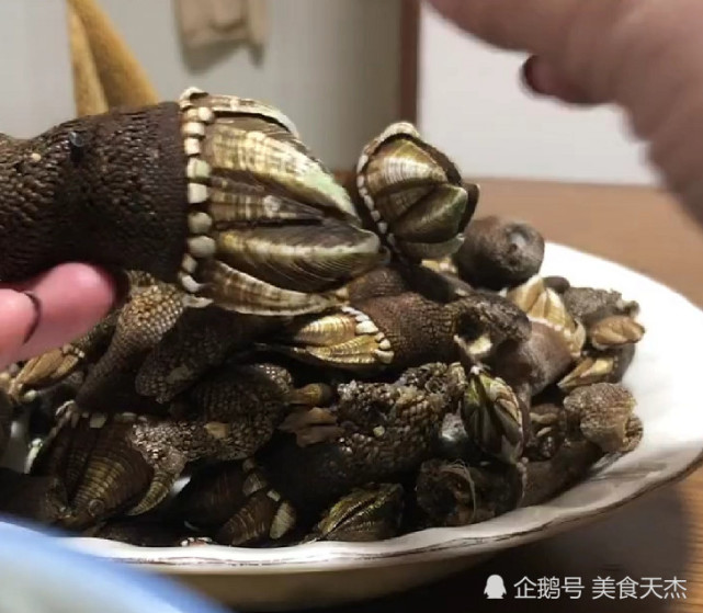 有点像乌龟的爪子,还别说乍一看还真像,不过它还有一些外号叫狗爪螺