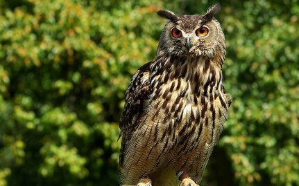 当然反正在不对称我们也看不见就是了.