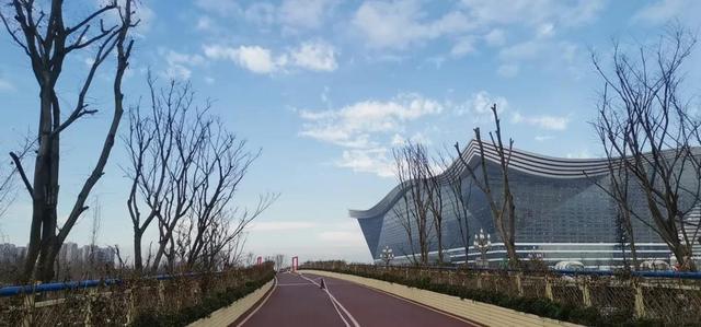 有奖!迎接世警会拥抱世大会 成都人欢乐健康跑