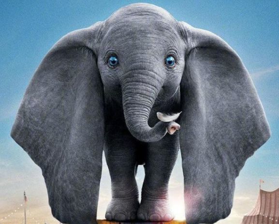 《绿皮书》打头阵,3月一大批进口获奖影片坐镇