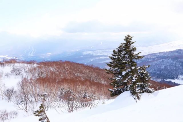 浪漫雪国的n多种玩法精彩不只滑雪 大申网 腾讯网