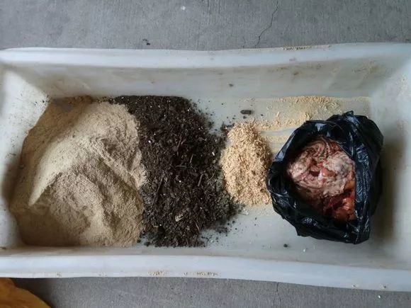 厨余可用的"三明治堆肥法",垃圾变花肥,关键还没异味!