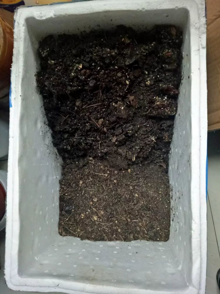 厨余可用的"三明治堆肥法",垃圾变花肥,关键还没异味!