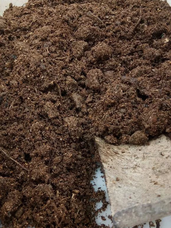 厨余可用的"三明治堆肥法",垃圾变花肥,关键还没异味!