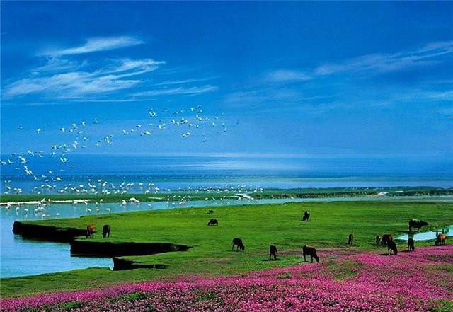 春秋旅行:旅游景点之两湖平原,你了解么来看看吧