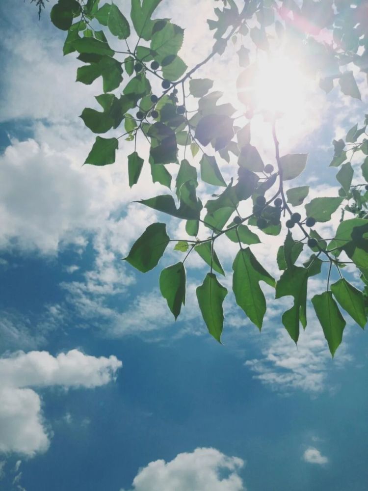 相信你们今天的心情跟小编是一样的