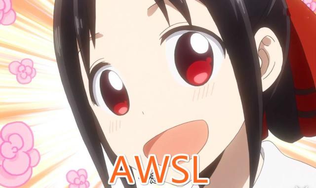 B站最潮的动漫弹幕,砸瓦鲁多是什么,进阶萌新