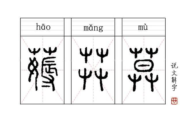 说文解字 第113课 曰归曰归 岁亦莫止 莫 是何意