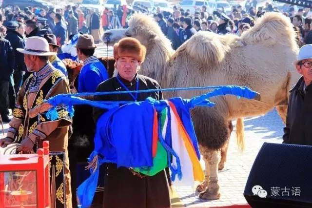 祭敖包非遗（祭敖包怎么读） 第8张