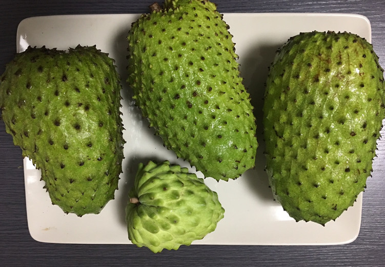 红毛榴莲走红,闻着没味道,吃起来像是草莓和菠萝的混合品种