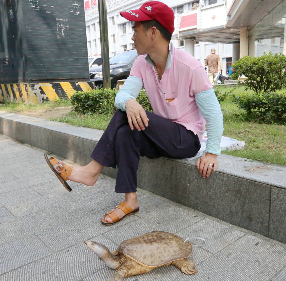 男子钓获野生"老鳖精",街头叫卖5千,网友:最多值1千
