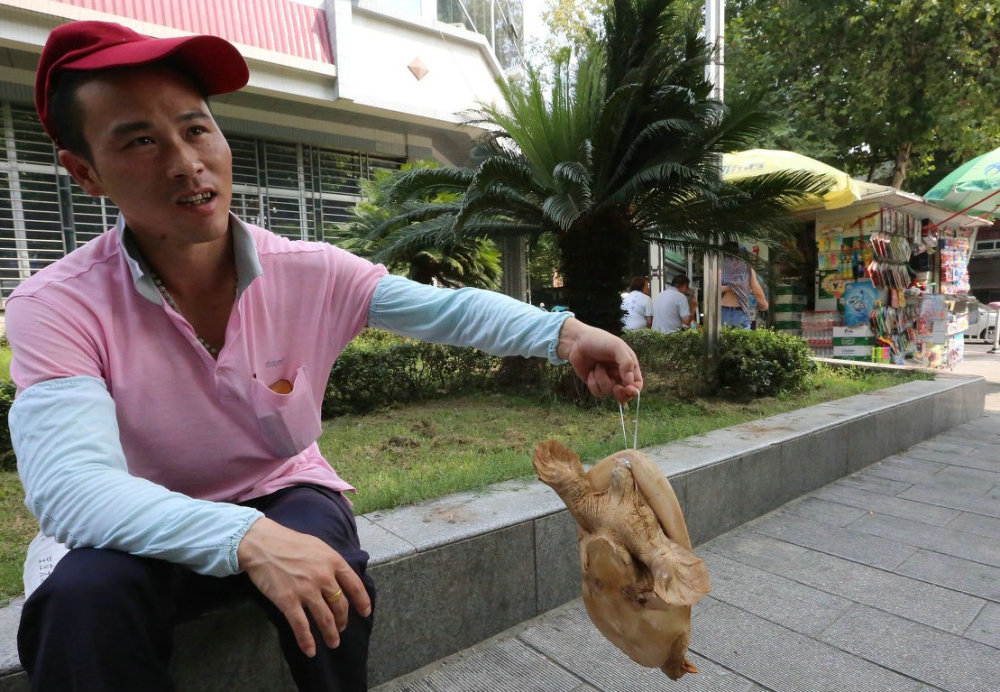男子钓获野生"老鳖精",街头叫卖5千,网友:最多值1千