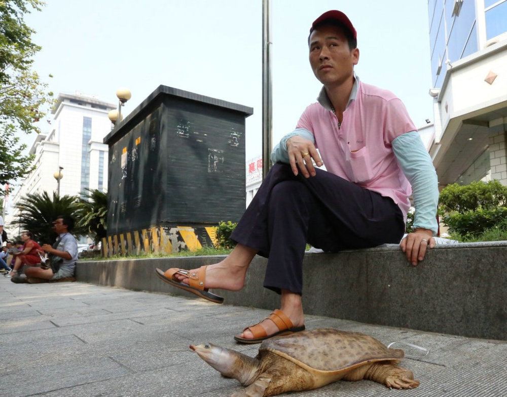 男子钓获野生"老鳖精",街头叫卖5千,网友:最多值1千