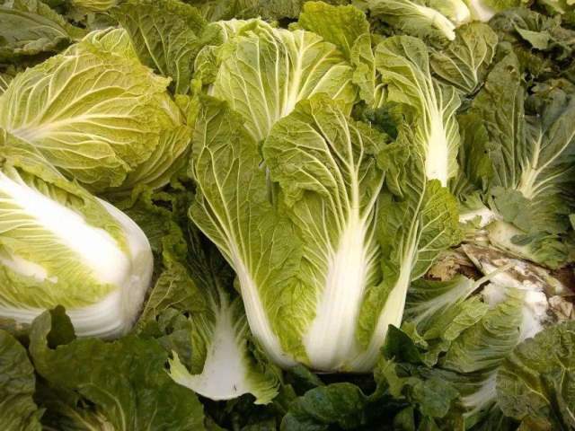 中国什么食物最贵?日本说是西瓜,美国认为是老