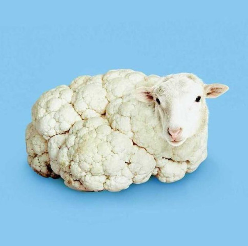 4张让人产生幻觉的错觉图片,彩虹里的"不明飞行物"像个啥?