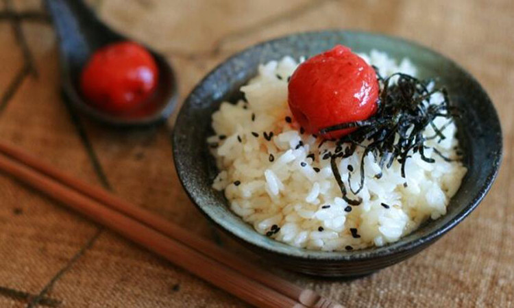 为什么日本便当里要放一颗梅子?看完原因后,中国网友:佩服!