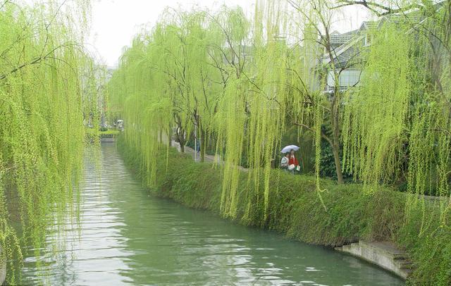 描写春日江柳枝叶生发,清江两岸柳色青青的上联:柳色侵江渚