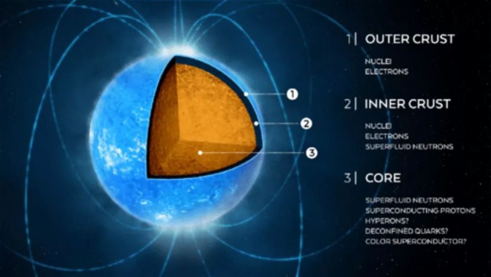 中子星的结构示意图.图片:watts, a et al., rev. mod. phys.